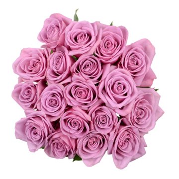 BLOOMS by H-E-B Farmers Bunch Assorted 18 Stem Roses