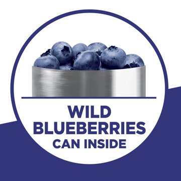 Krusteaz Wild Blueberry Muffin Mix, 17.1 oz