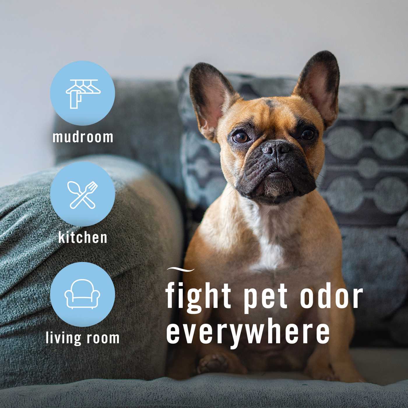 Febreze Air Fresh Scent Pet Odor-Fighting Spray; image 4 of 6