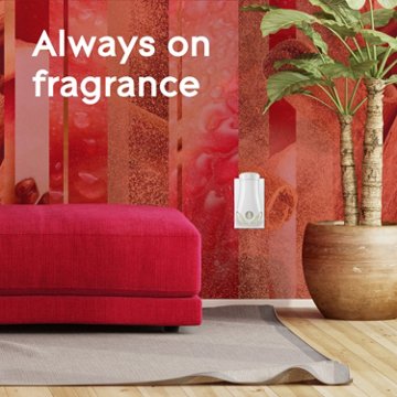 Glade PlugIns Scented Oil Air Freshener Refills - Apple Cinnamon, 5 ct