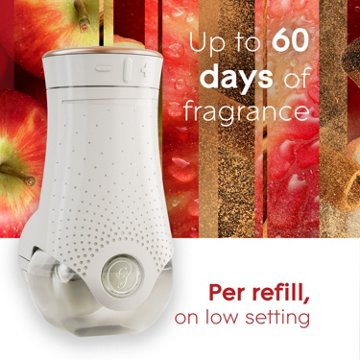 Glade PlugIns Scented Oil Air Freshener Refills - Apple Cinnamon, 5 ct