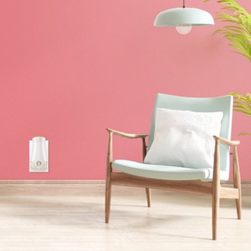 Glade PlugIns Scented Oil Air Freshener Refills - Apple Cinnamon, 5 ct