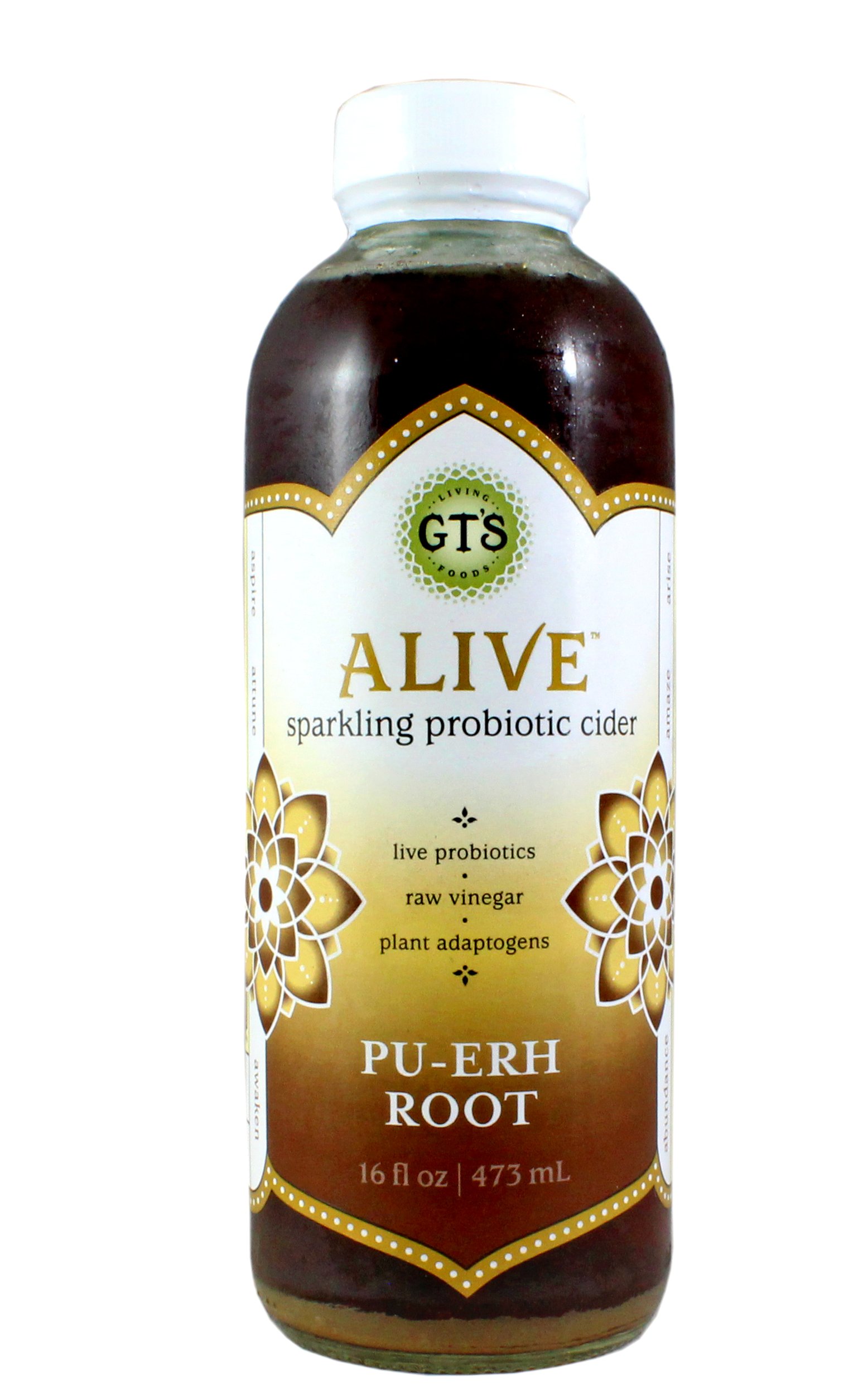 GT's Enlightened Pu-Erh Root Sparkling Probiotic Cider - Shop Tea at H-E-B
