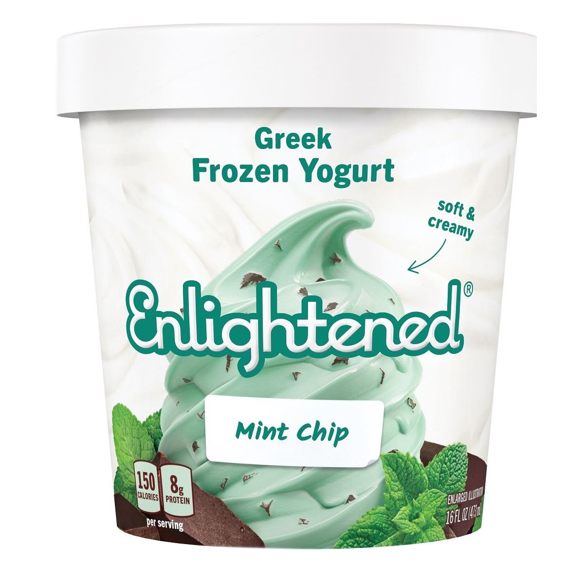 Enlightened Chocolate Chip Peppermint Partie Ice Cream Shop Frozen