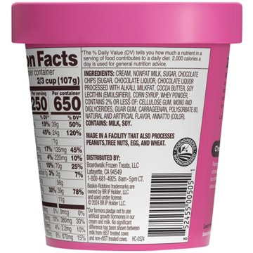 Baskin Robbins Chocolate Chip Ice Cream
