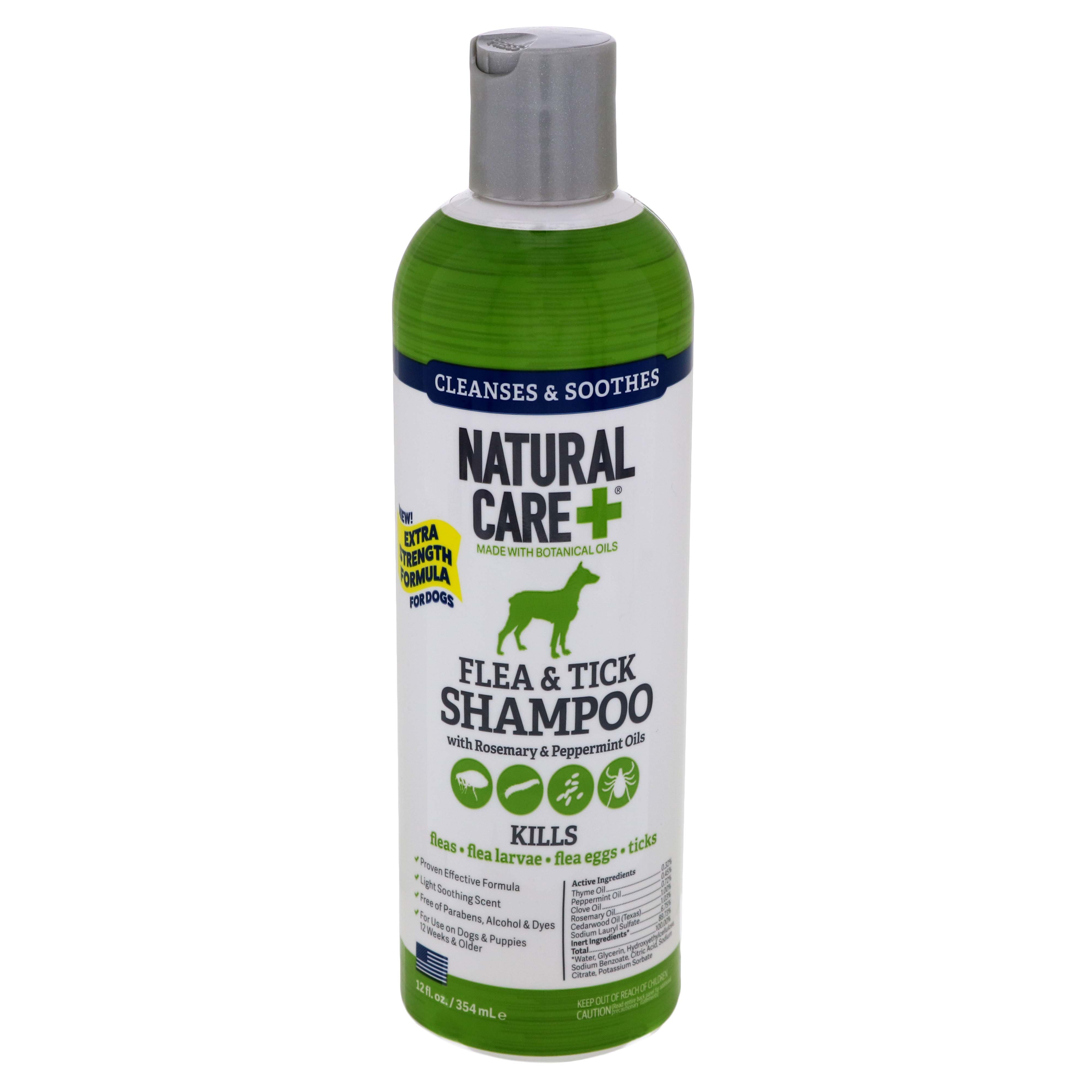 how often can you use flea shampoo on a dog