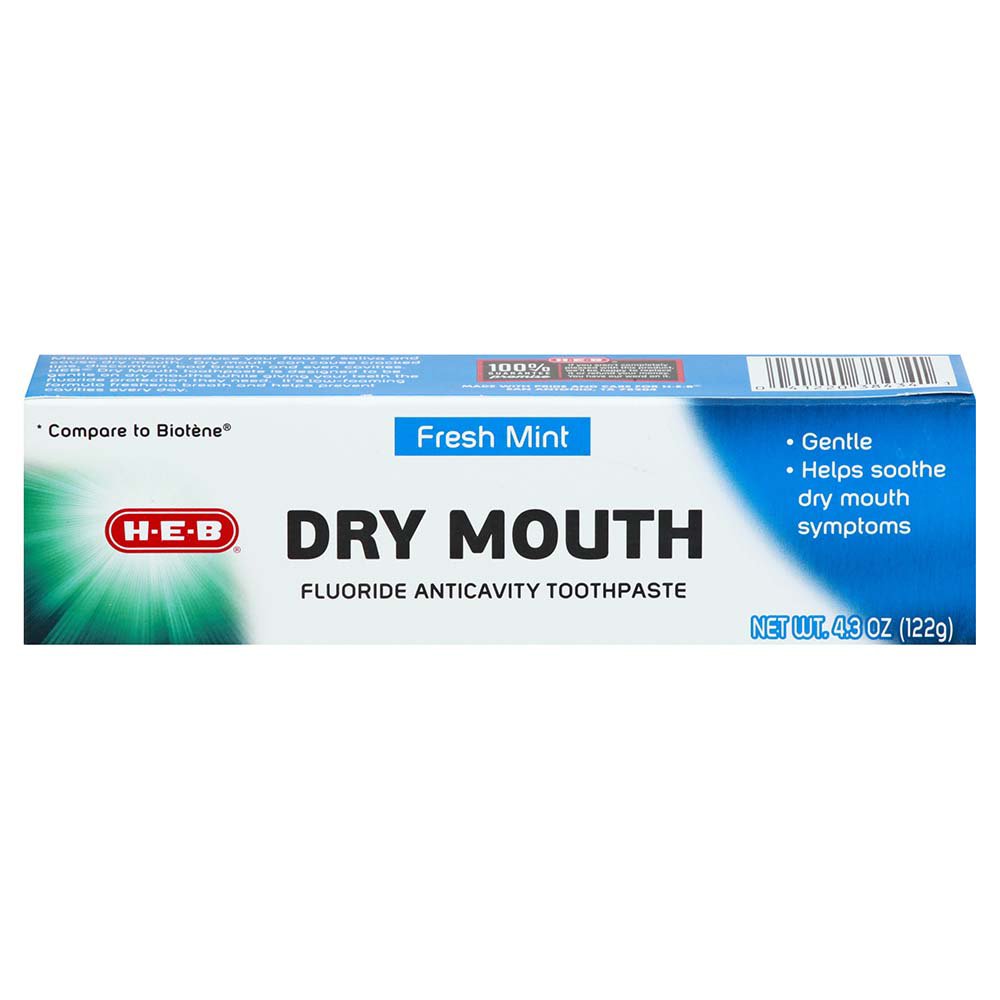 H-E-B Fresh Mint Dry Mouth Toothpaste - Shop Toothpaste at H-E-B