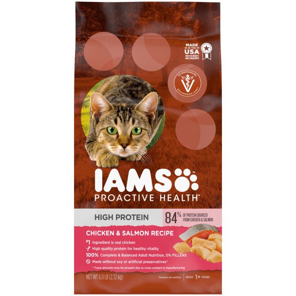 iams proactive health dry kitten food kittens