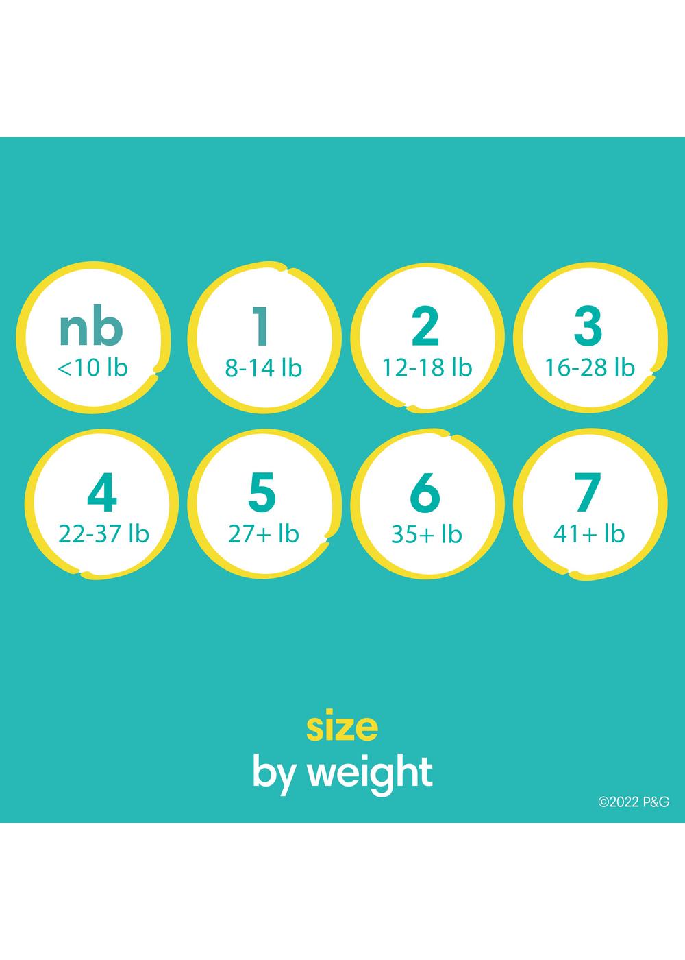 Pampers Swaddlers Baby Diapers - Size 6; image 2 of 8