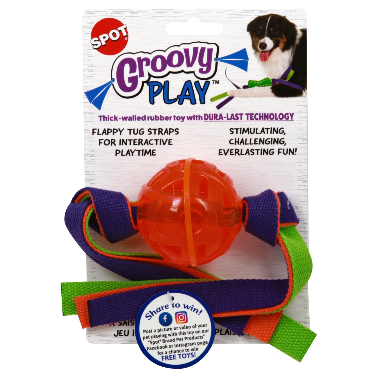 stimulating dog toys