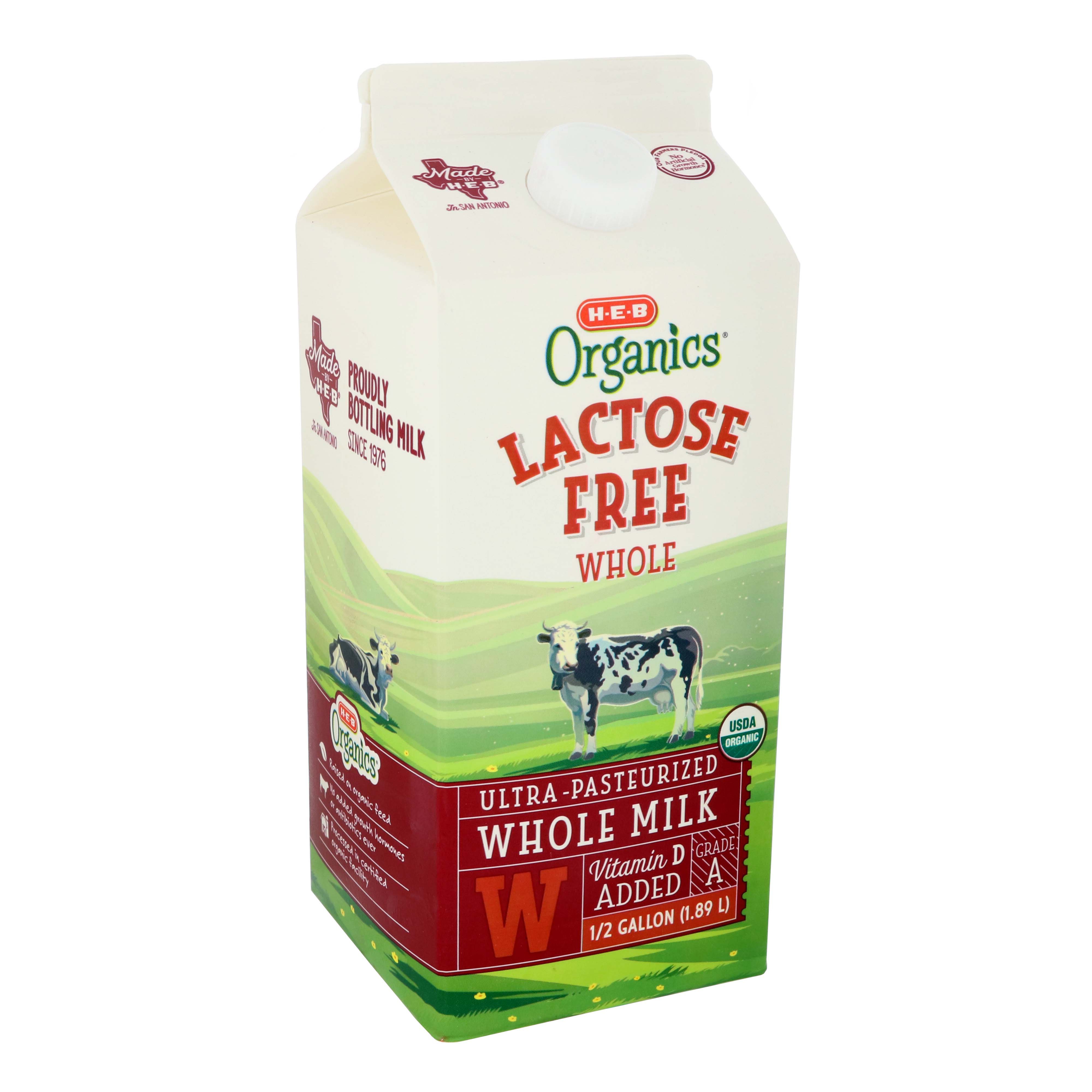 are dogs allowed lactose free milk