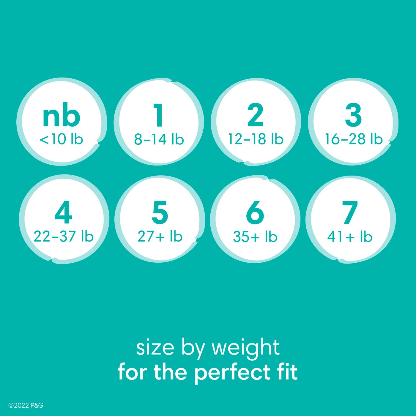 Pampers Baby-Dry Diapers - Size 6; image 7 of 10