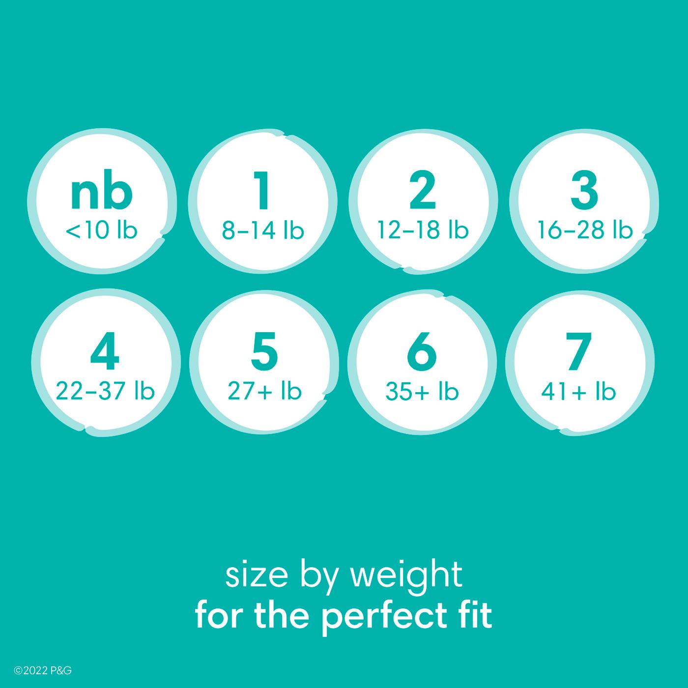 Pampers Baby-Dry Diapers - Size 6; image 8 of 9