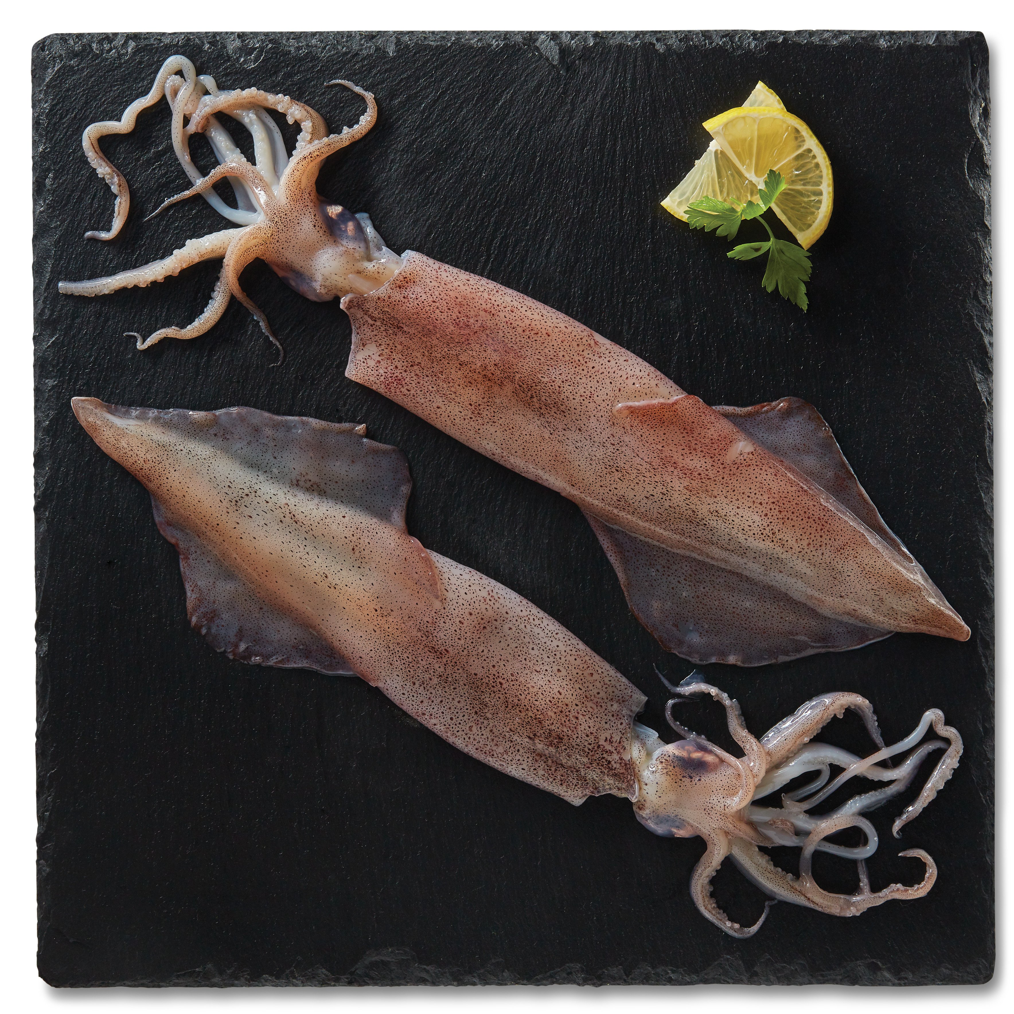H E B Wild Caught Calamari Whole Shop Fish At H E B