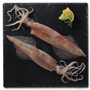 H-E-B Wild Caught Fresh Whole Calamari, Avg. 1.41 lbs