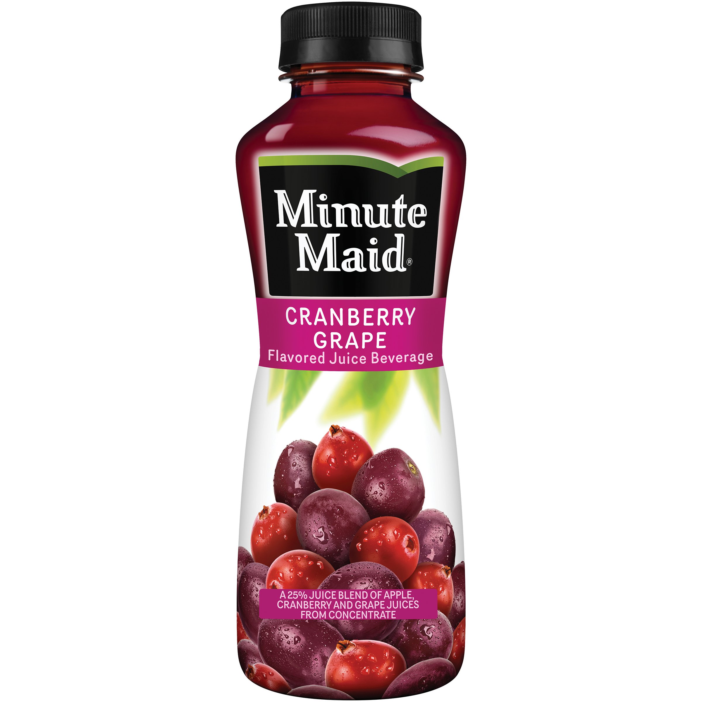 Minute Maid Apple Juice 10 oz Bottles - Shop Juice at H-E-B