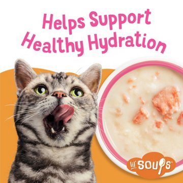 Friskies Purina Grain Free Lickable Cat Food Toppers Lil’ Soups - Sockeye Salmon in Chicken Broth