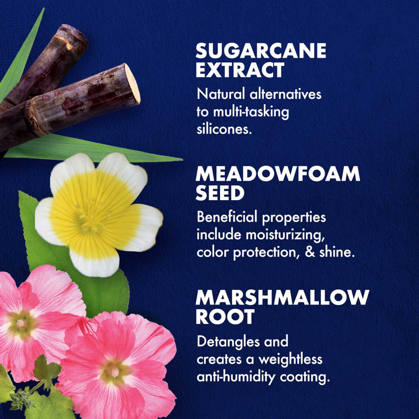 SheaMoisture Leave-In Treatment - Sugarcane Extract & Meadowfoam Seed; image 4 of 6