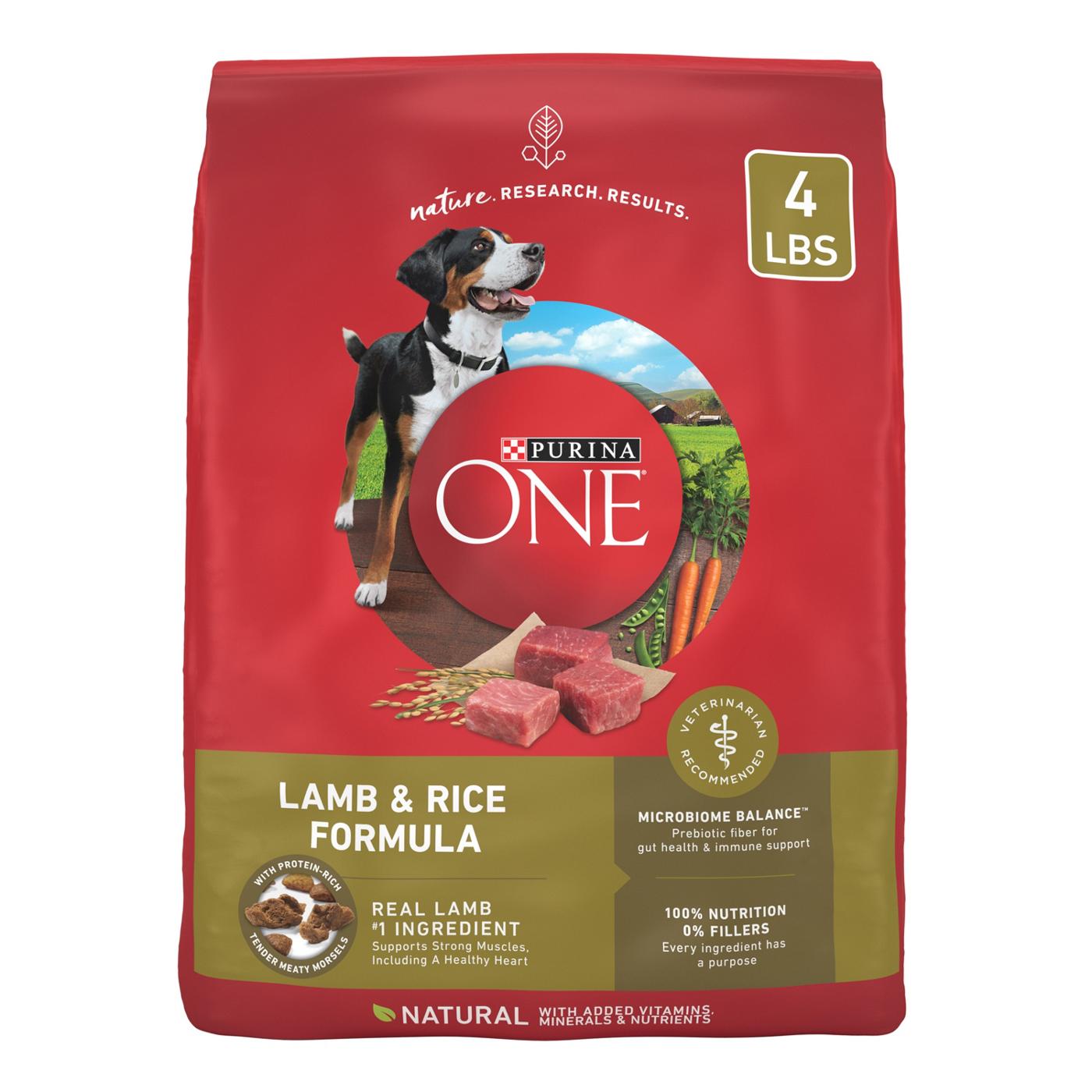 Purina ONE Dry Dog Food - Lamb and Rice Formula; image 1 of 7