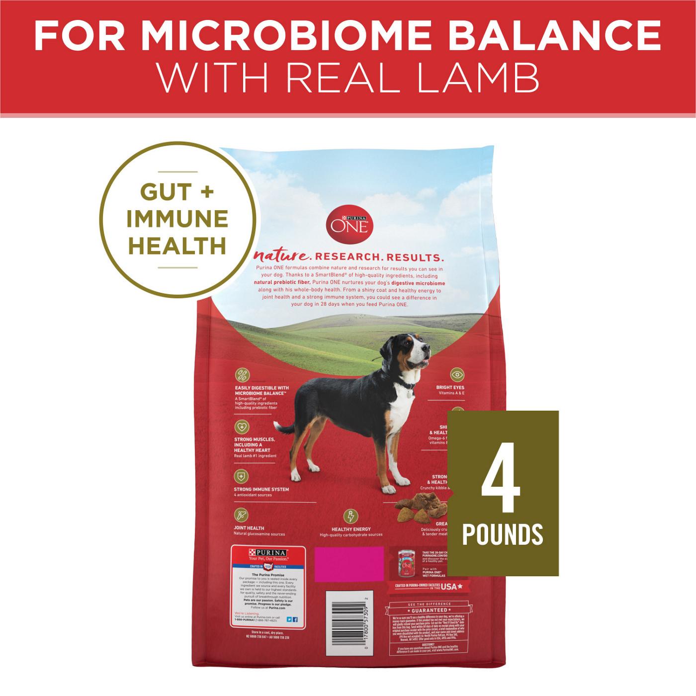 Purina ONE Purina ONE Dry Dog Food  Lamb and Rice Formula; image 3 of 7