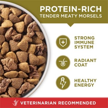 Purina ONE Dry Dog Food - Lamb and Rice Formula