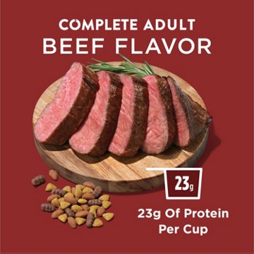 Dog Chow Purina Complete Adult Dry Dog Food Kibble - Beef Flavor