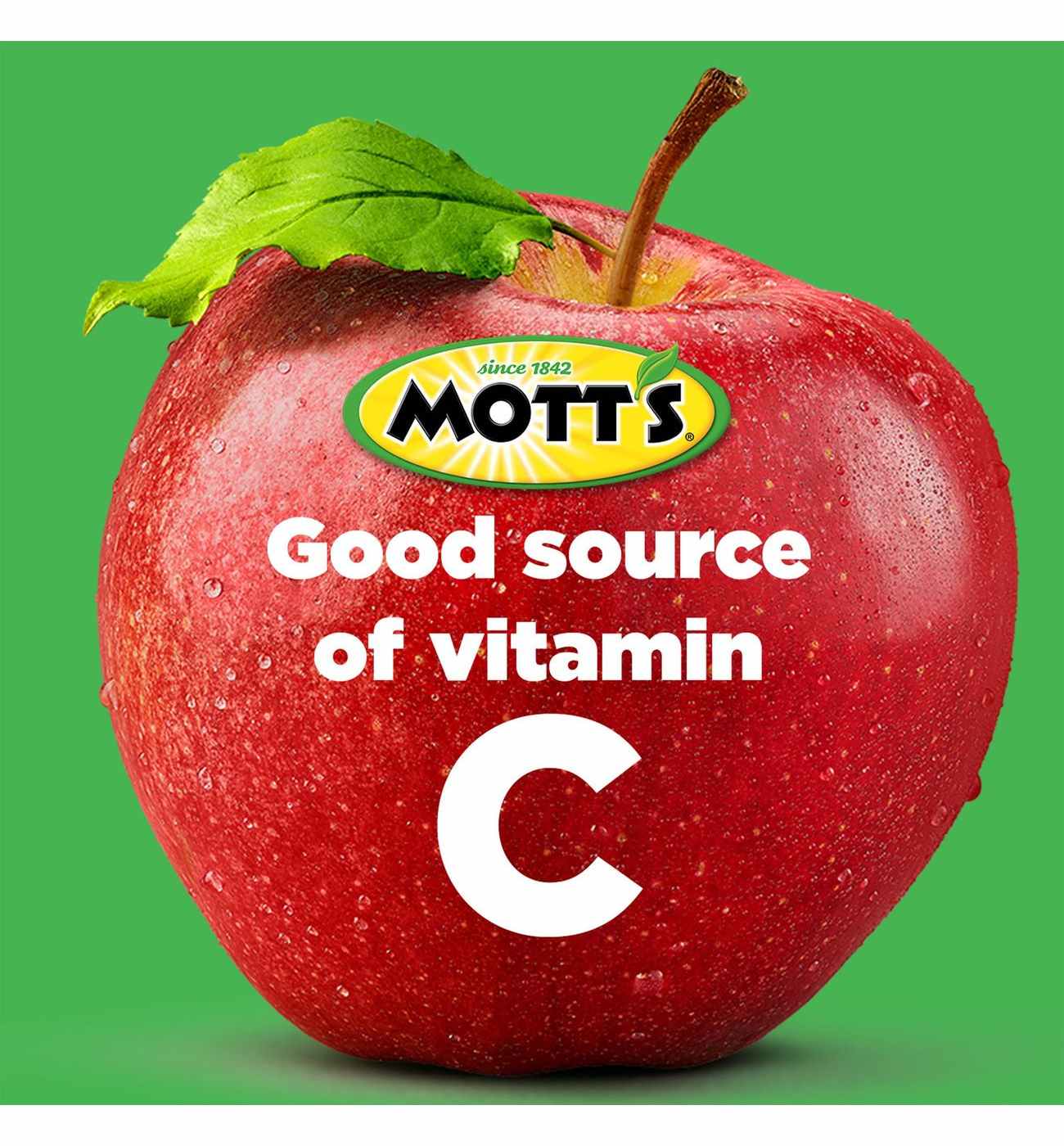 Mott's No Sugar Added Applesauce 12 pk Pouches; image 8 of 11