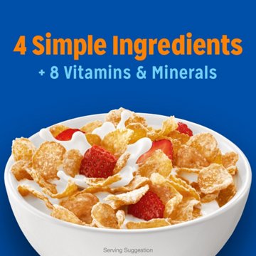 Kellogg's Frosted Flakes Cereal - Family Size, 21.7 oz