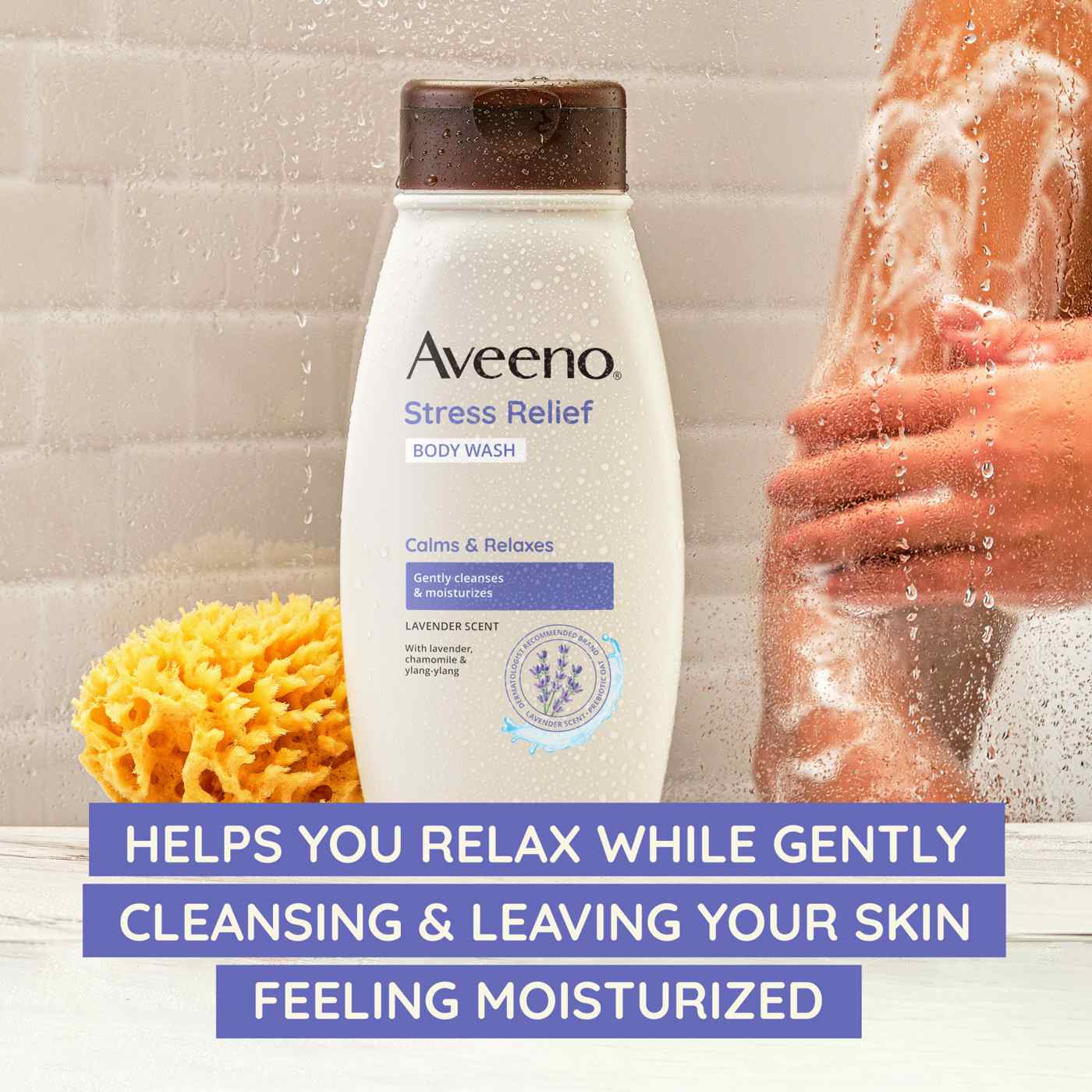 Aveeno Stress Relief Body Wash Lavender Scent Shop Body wash at HEB