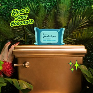 Goodwipes XL Flushable Wipes - Shea-Coco, 50 ct