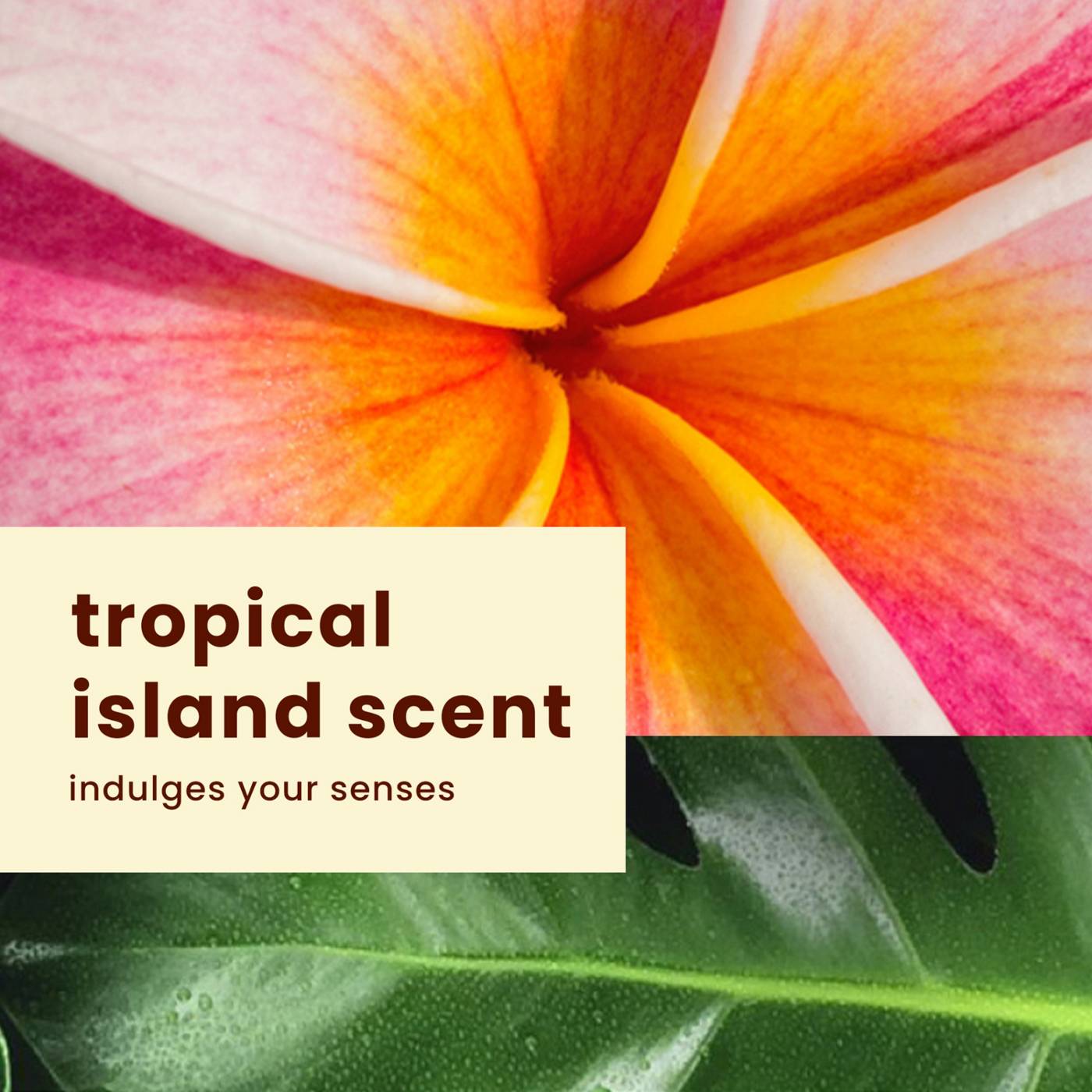 Hawaiian Tropic Weightless Hydration Clear Sunscreen Spray - SPF 50; image 4 of 8