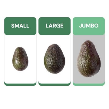 Fresh Jumbo Hass Avocado