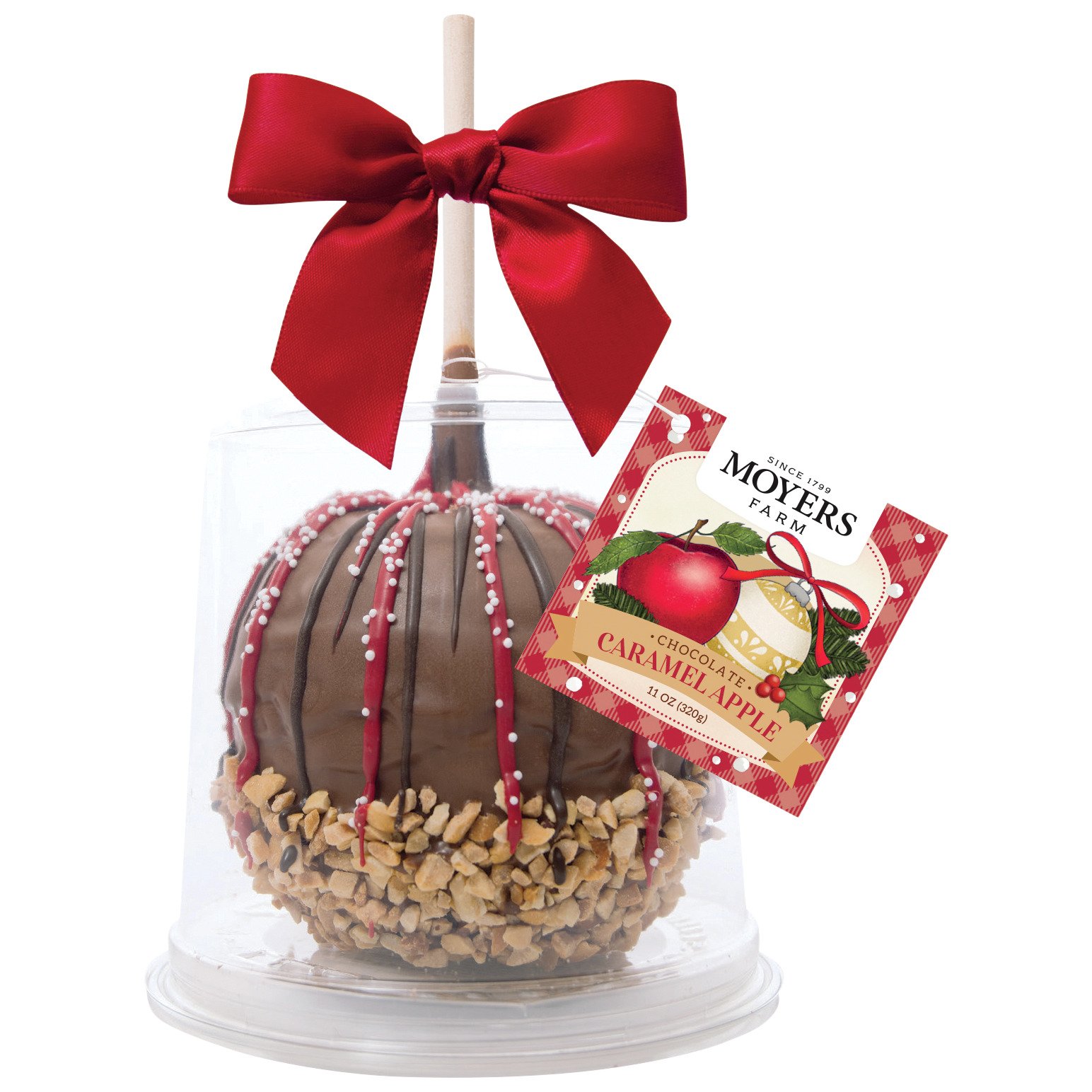 Moyer's Chocolate Caramel Apple Shop Fruit at HEB