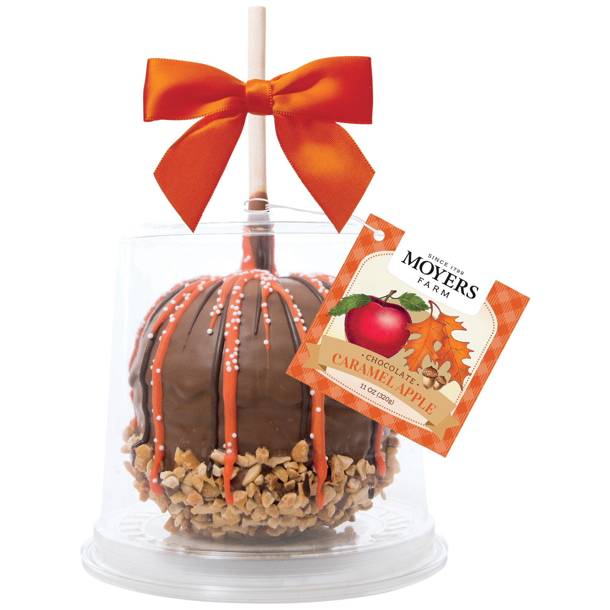 Moyers Farm Chocolate Caramel Apple Valentine's Day Shop Apples at