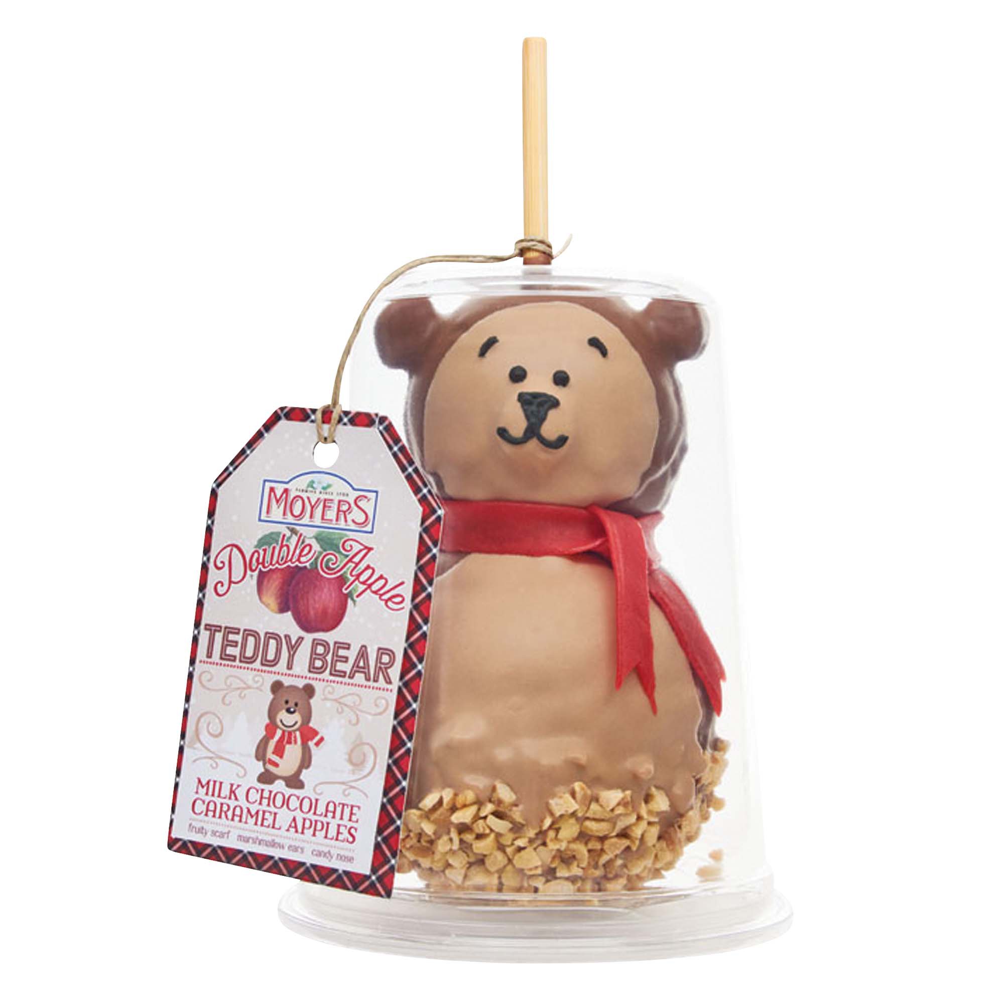 chocolate teddy bear valentines