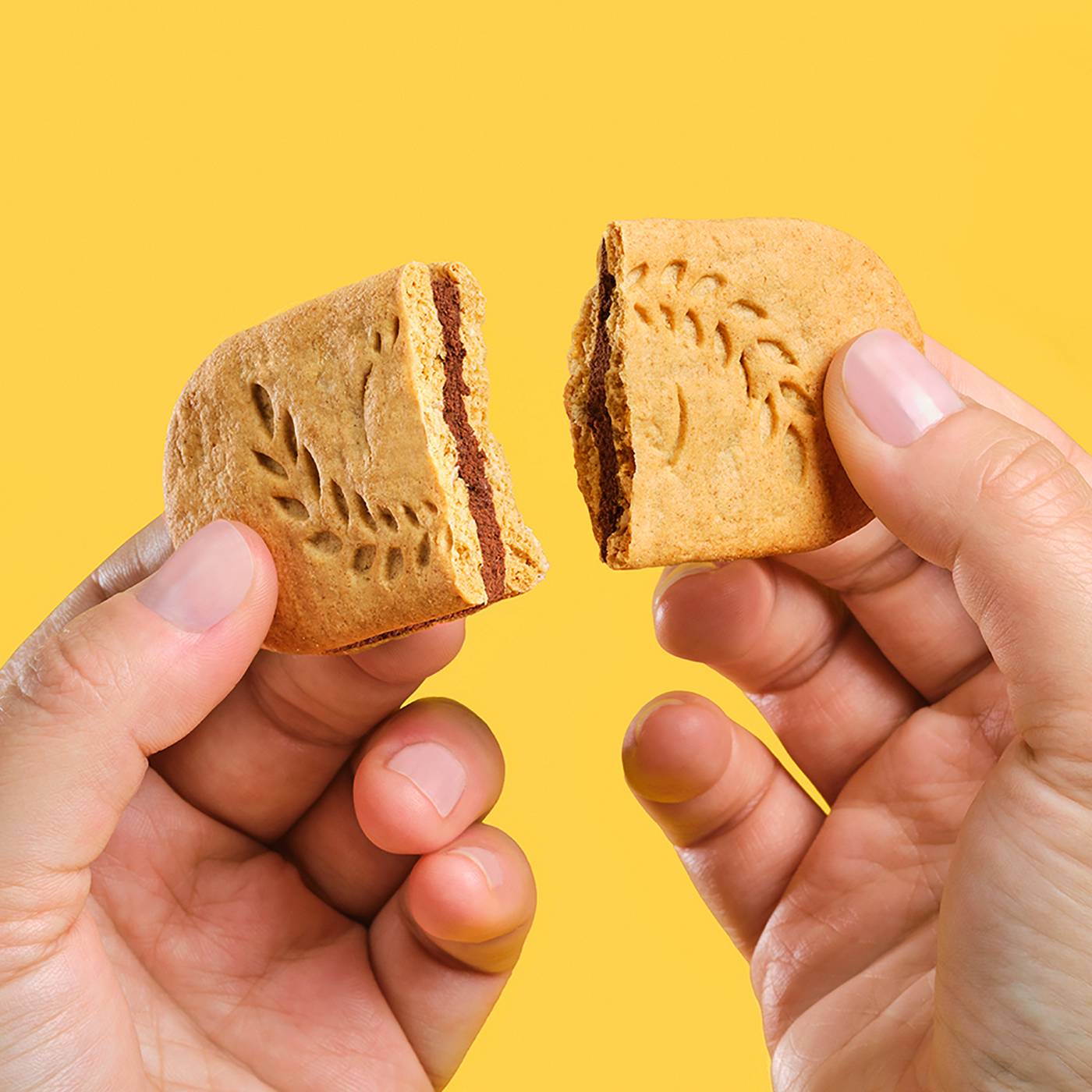 belVita Dark Chocolate Creme Breakfast Biscuits Value Pack; image 3 of 9