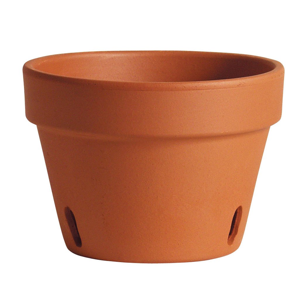 Marshall Pottery Orchid  Terra  Cotta  Pot  Shop Pots  