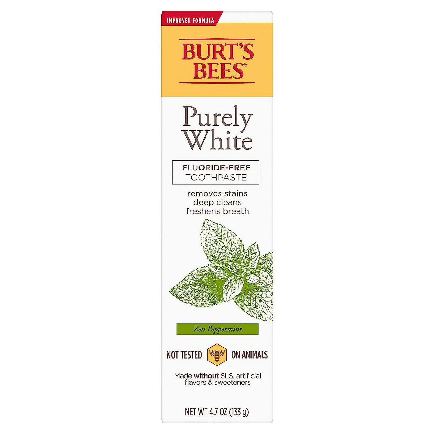 Burt's Bees Purely White Fluoride-Free Toothpaste - Zen Peppermint; image 1 of 8