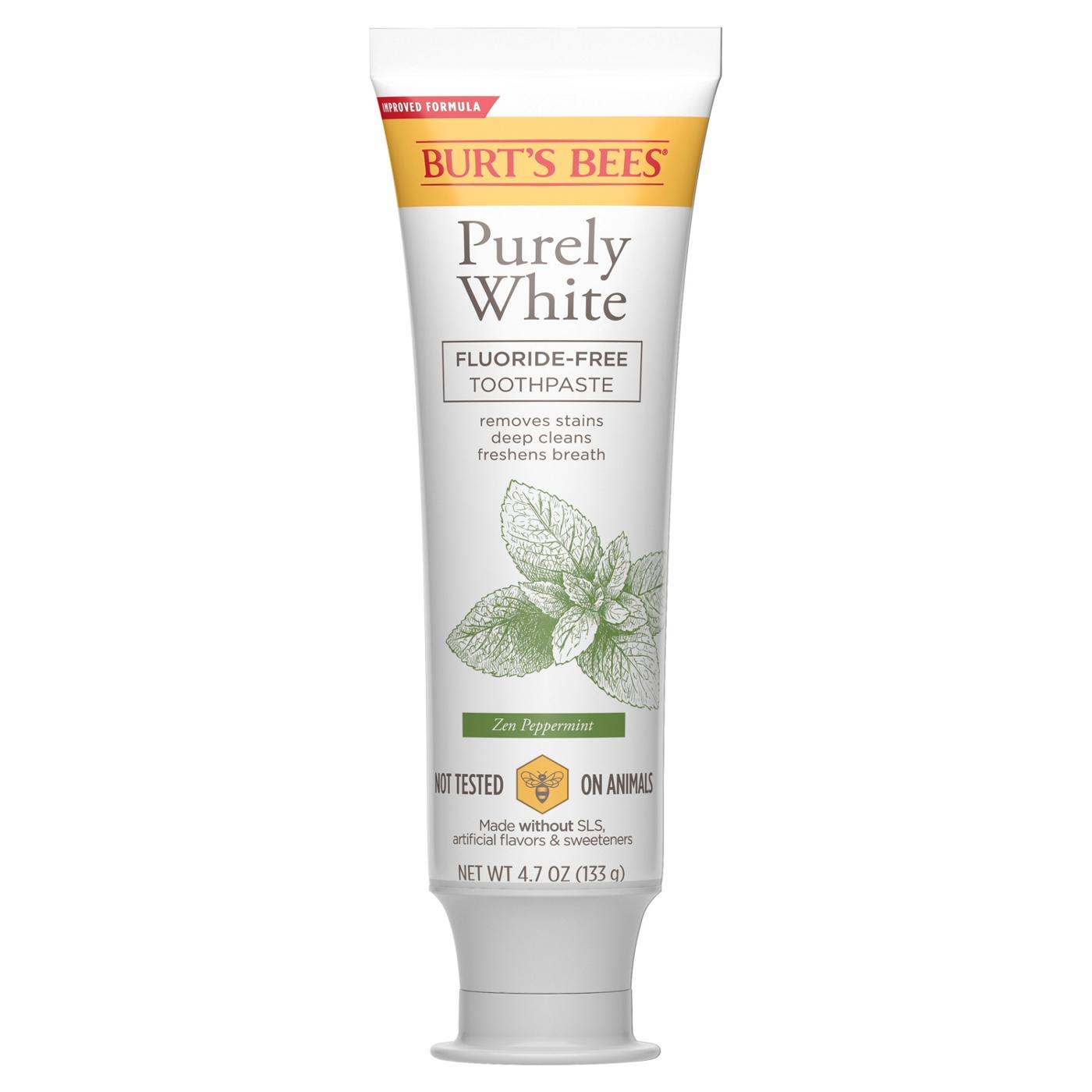 Burt's Bees Purely White Fluoride-Free Toothpaste - Zen Peppermint; image 2 of 8