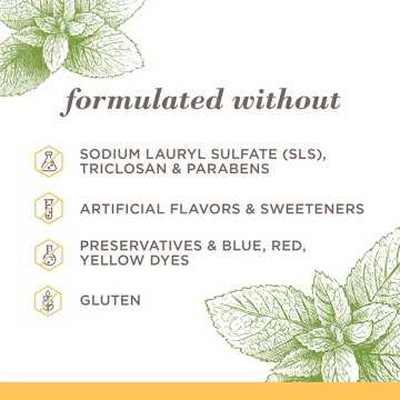 Burt's Bees Purely White Fluoride-Free Toothpaste - Zen Peppermint