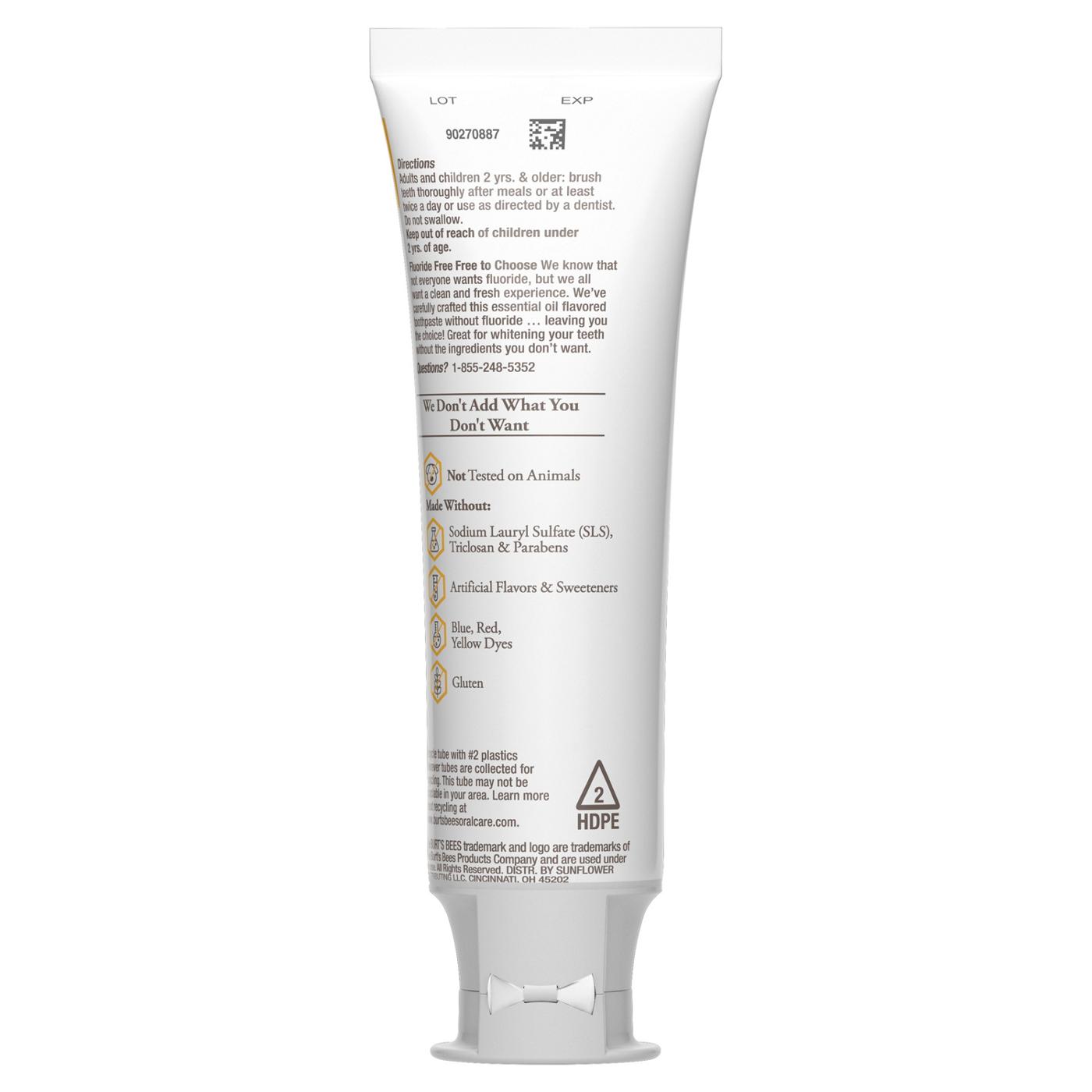 Burt's Bees Purely White Fluoride-Free Toothpaste - Zen Peppermint; image 4 of 8