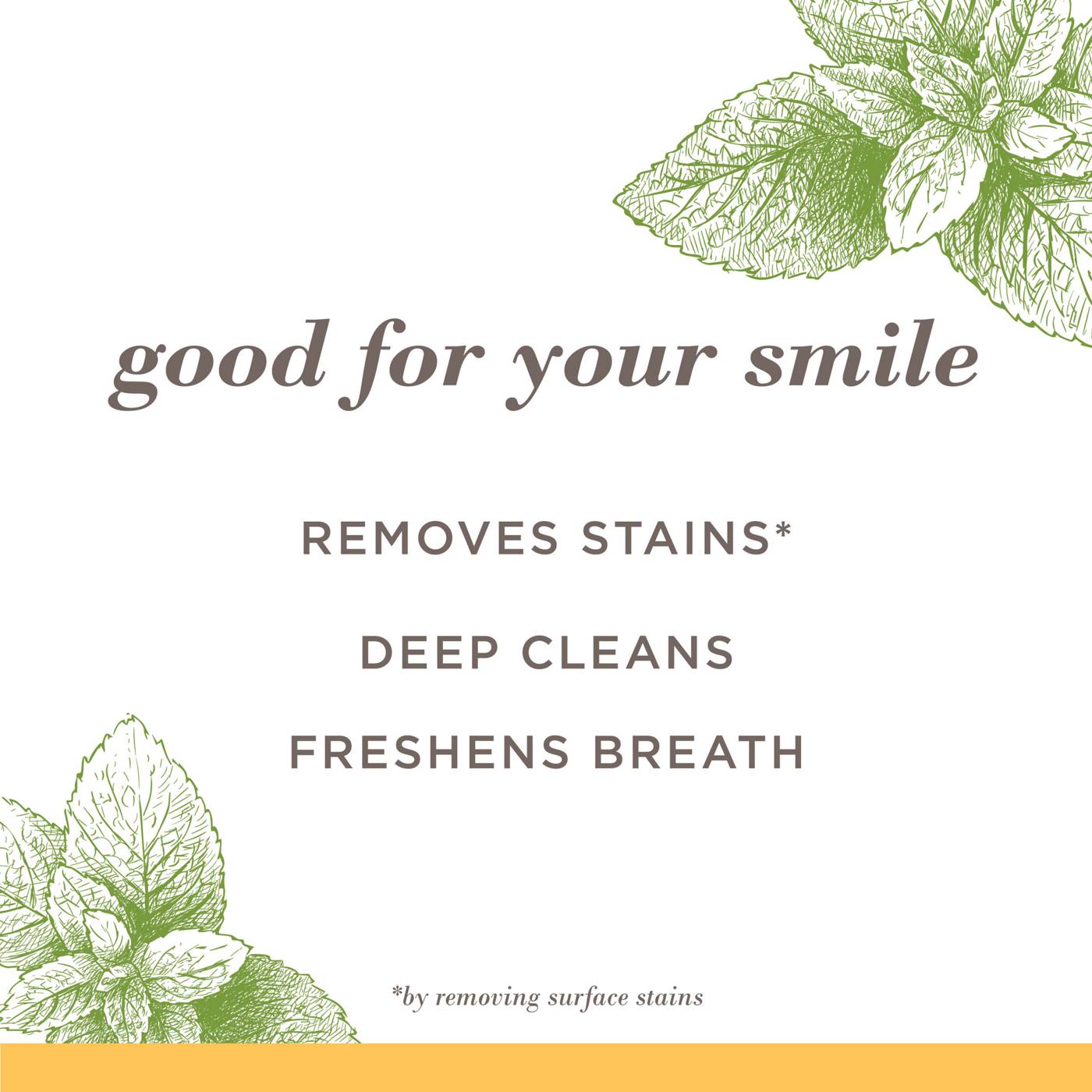 Burt's Bees Purely White Fluoride-Free Toothpaste - Zen Peppermint; image 6 of 8