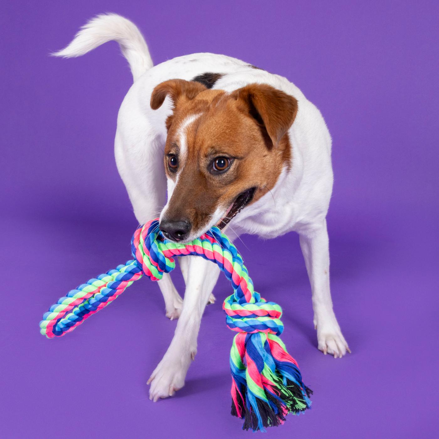 Woof & Whiskers Double Knots & Loops Rope Dog Toy; image 2 of 3