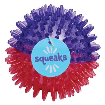 Woof & Whiskers Rubber Spikey Ball Dog Toy