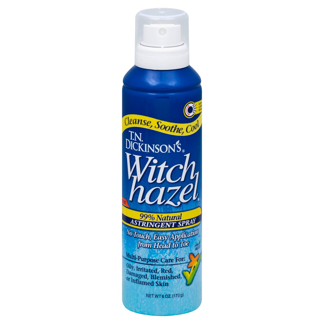 TN Dickinsons Witch Hazel Astringent Spray Shop Skin & Scalp Treatments at HEB