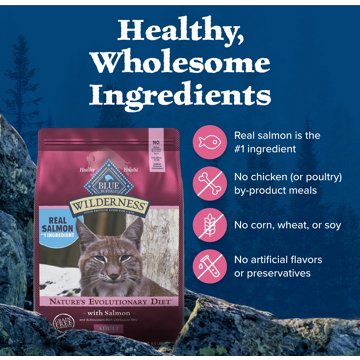 Blue Buffalo Wilderness GF Dry Food for Cats - Salmon