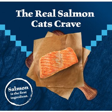 Blue Buffalo Wilderness GF Dry Food for Cats - Salmon