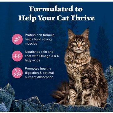 Blue Buffalo Wilderness GF Dry Food for Cats - Salmon