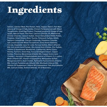 Blue Buffalo Wilderness GF Dry Food for Cats - Salmon