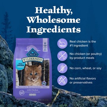 Blue Buffalo Wilderness Kitten Dry Cat Food - GF Chicken